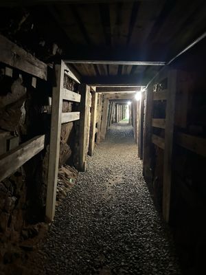 Reed Gold Mine by null