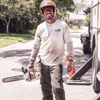 Lamb Tree Care - What you can expect from our crew, arrive ready to go, PPE and a smile. - Tree Services Near Me - Sarasota, Florida