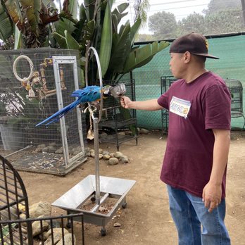 Free Flight - Animal Shelters Near Me - Del Mar, California Free Flight - Animal Shelters Near Me - Del Mar, California