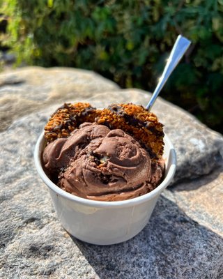 The City Creamery by null