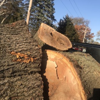 Final Oaks Tree Service - Tree Services Near Me - Lake Bluff, Illinois