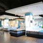Verlo Mattress of Greenfield