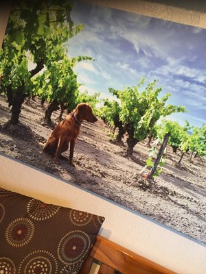 Elyse Winery by null