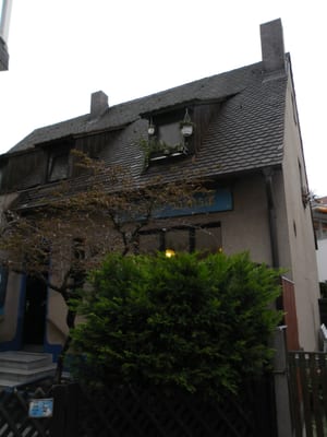 Gregor Samsa by null