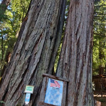 Confusion Hill - Amusement Parks Near Me - Piercy, California