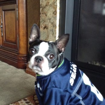 Brewster Veterinary Clinic - Abbigail Cutie pie! She loves Dr Mike!! Go Hawks!! - Veterinarians Near Me - Brewster, Washington Brewster Veterinary Clinic - Abbigail Cutie pie! She loves Dr Mike!! Go Hawks!! - Veterinarians Near Me - Brewster, Washington