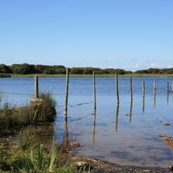 Kenfig National Nature Reserve