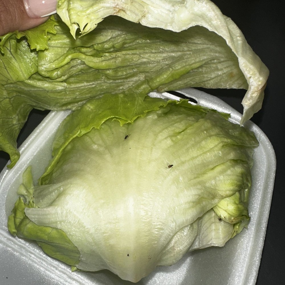 888 Bistro - Lettuce with bugs - Chinese Near Me - Houston, Texas 888 Bistro - Lettuce with bugs - Chinese Near Me - Houston, Texas