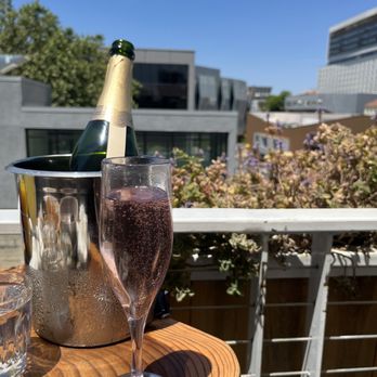 Darling Aviary - Bottle of sparkling - Bars Near Me - Sacramento, California Darling Aviary - Bottle of sparkling - Bars Near Me - Sacramento, California