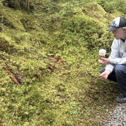 Wild Wolf Tours - Great plant-life breakdown by our guide, Austin