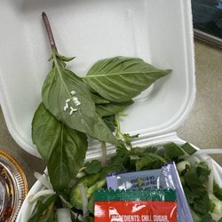 Pho Condiments