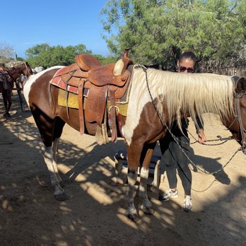 Rancho Carisuva - Pictacho horse name - Horseback Riding Near Me - Cabo San Lucas, BCS Rancho Carisuva - Pictacho horse name - Horseback Riding Near Me - Cabo San Lucas, BCS