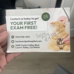 Coupon