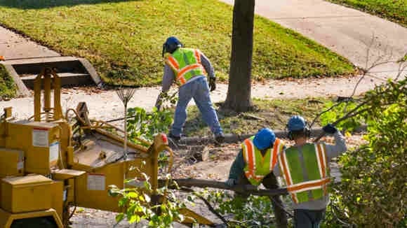 High Grove Tree - tree service in Boonton, NJ