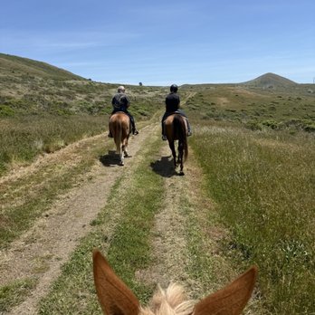 Five Brooks - We had an amazing experience with Scott ! The eagle ride was so fun !  We will return for sure ! Thank you for a fun & unique experience - Horseback Riding Near Me - Bodega Bay, California