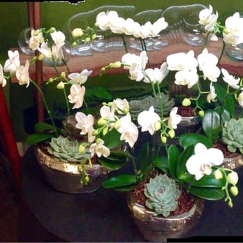 Green Door Design - Beautiful arrangement in silver containers - Florists Near Me - Mill Valley, California