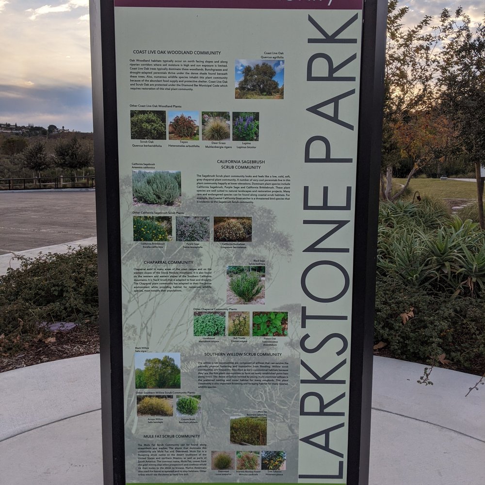 Larkstone Park - Plant community - Parks Near Me - Diamond Bar, California