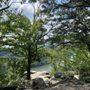Photo of Pinnacle Overlook