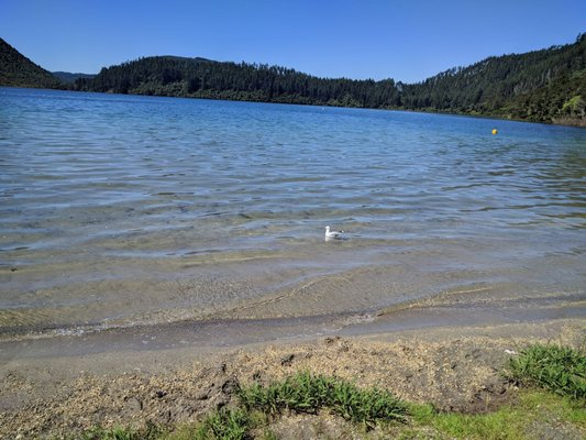 Blue Lake TOP 10 Holiday Park by null