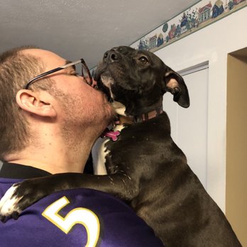 BARCS - Animal Shelters Near Me - Baltimore, Maryland
