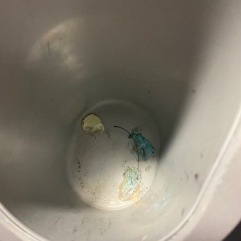 In-Shape Fitness - Gum people are gross but it's obvious the gym also isn't being cleaned very well - Gyms Near Me - Bakersfield, California In-Shape Fitness - Gum people are gross but it's obvious the gym also isn't being cleaned very well - Gyms Near Me - Bakersfield, California