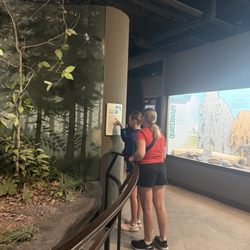 The University of Iowa Museum of Natural History