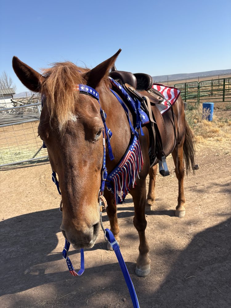 Happy Trails Equine Logo