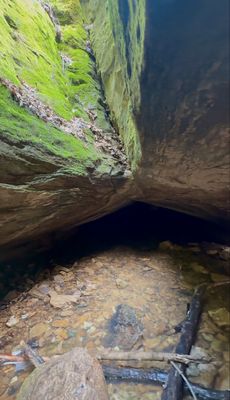 Rock Bridge Memorial State Park by null