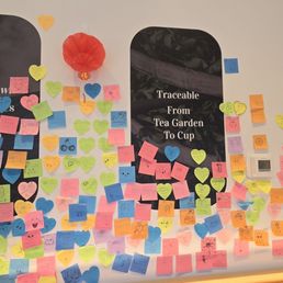 Post-It Note wall! Post-It Note wall!