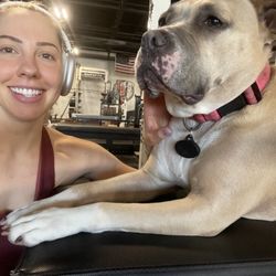 Total Performance Sports - Brandy the support dog. She's on the clock Monday through Friday.