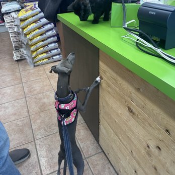 Pattes et Griffes - Verdun - Counter - Pet Groomers Near Me - Verdun, Quebec