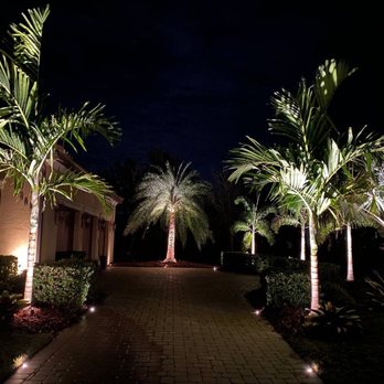 Blue Sky Landscaping - Sylvester palm, foxtail palms, Alexander palms, Bismarck palm - Artificial Turf Near Me - Sarasota, Florida Blue Sky Landscaping - Sylvester palm, foxtail palms, Alexander palms, Bismarck palm - Artificial Turf Near Me - Sarasota, Florida