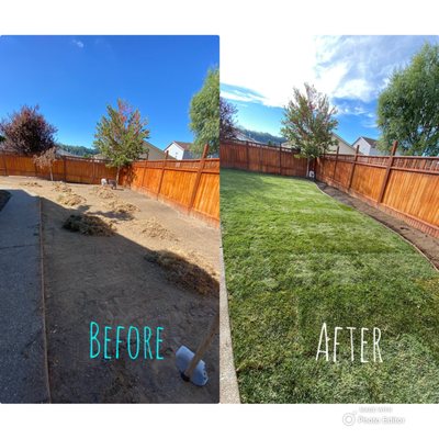 Landscape project - We help to make the garden look nice and healthy