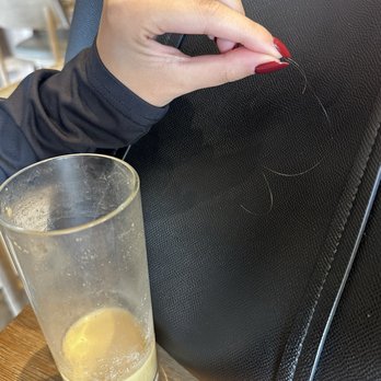 Eller Bakery - hair in drink - Bakeries Near Me - Costa Mesa, California Eller Bakery - hair in drink - Bakeries Near Me - Costa Mesa, California