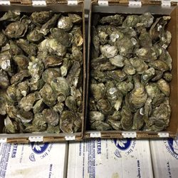Mariscos De Guaymas - Ostion fresco. por caja .media caja. por docena.sale by a case half of case or a dozen . fresh oysters