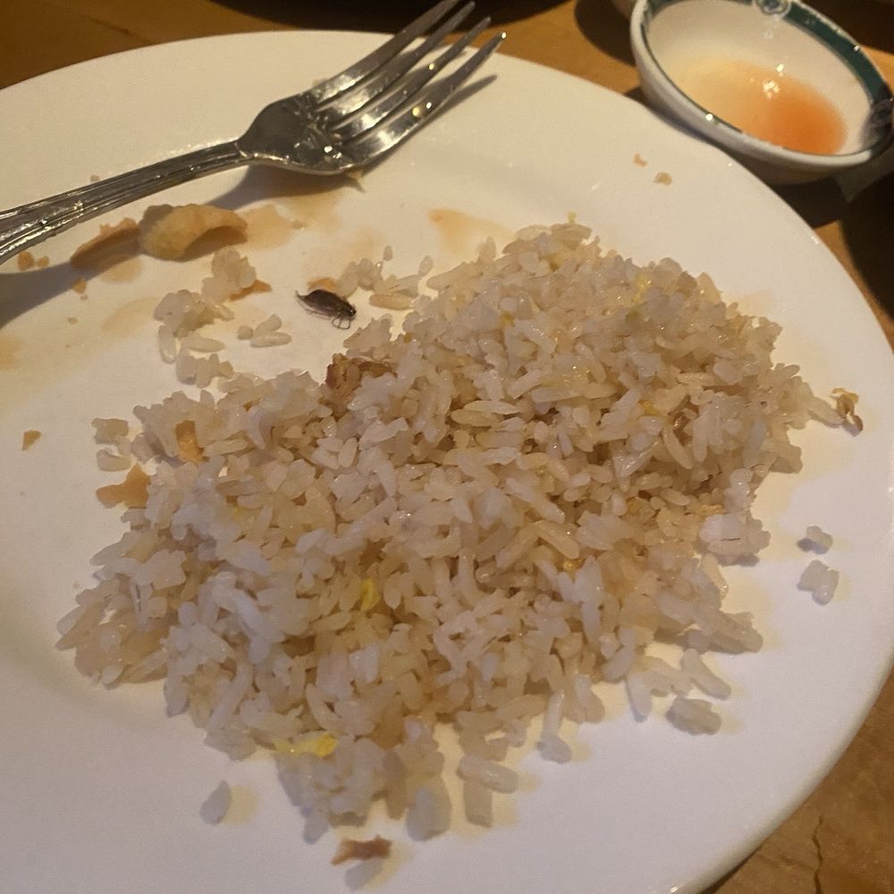 Hoong's Palace - Here i a picture of the roach which was inside of the rice bowl placed on our table. - Chinese Near Me - Englewood, Colorado Hoong's Palace - Here i a picture of the roach which was inside of the rice bowl placed on our table. - Chinese Near Me - Englewood, Colorado