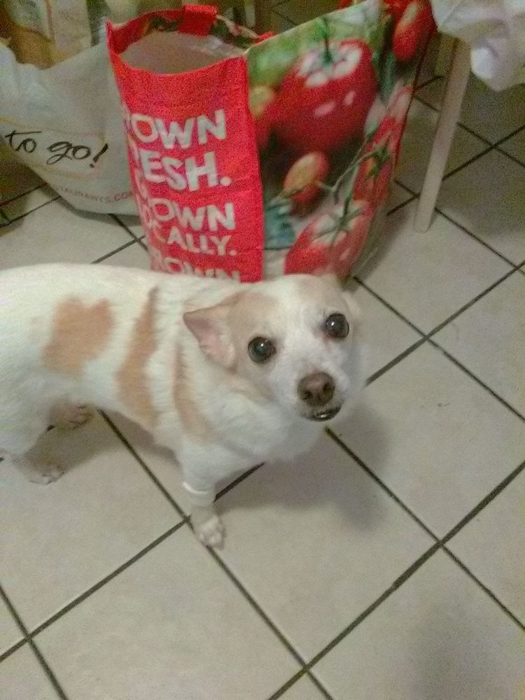 FIDELITY REAL ESTATE Updated September 2024 Contact Agent 2357