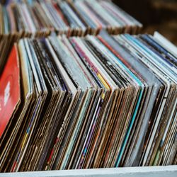 Palm Beach Vinyl