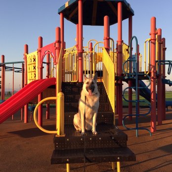 Off Leash K9 Training - Lehigh Valley - Practicing place, at Tuskes Park. - Pet Training Near Me - Allentown, Pennsylvania Off Leash K9 Training - Lehigh Valley - Practicing place, at Tuskes Park. - Pet Training Near Me - Allentown, Pennsylvania