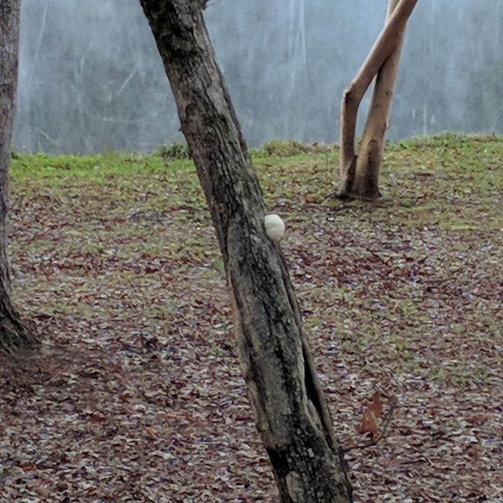 Clarkco State Park - Parks Near Me - Quitman, Mississippi