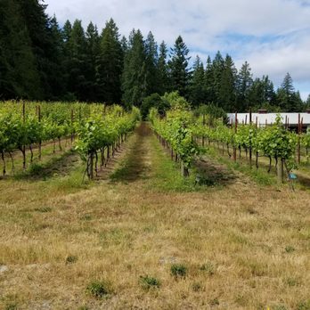 Spoiled Dog Winery - Outside overlooking the vineyard. - Wineries Near Me - Langley, Washington Spoiled Dog Winery - Outside overlooking the vineyard. - Wineries Near Me - Langley, Washington