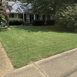 Stepney Lawn Care