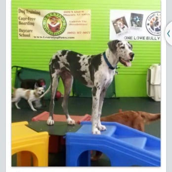 Learning Pawsibilities - Pet Training Near Me - Phoenix, Arizona