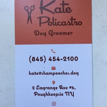 ShamPooches Doggie Day Spa - Contact info - Pet Groomers Near Me - Poughkeepsie, New York ShamPooches Doggie Day Spa - Contact info - Pet Groomers Near Me - Poughkeepsie, New York