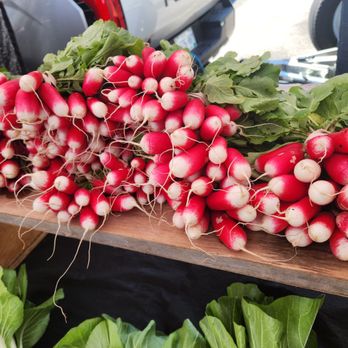 Kennebunk Farmers' Market - Farmers Market Near Me - Kennebunk, Maine Kennebunk Farmers' Market - Farmers Market Near Me - Kennebunk, Maine