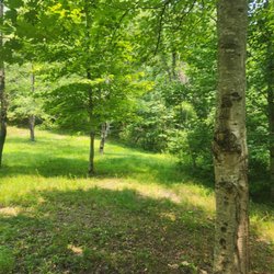 Hippie Trails Campground