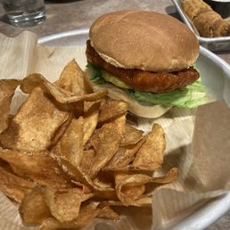 Nashville Hot Chicken Sandwiches