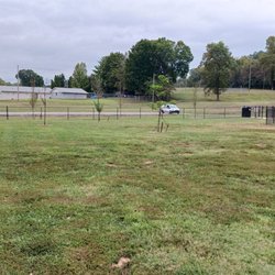 Far edge of the dog park looking back