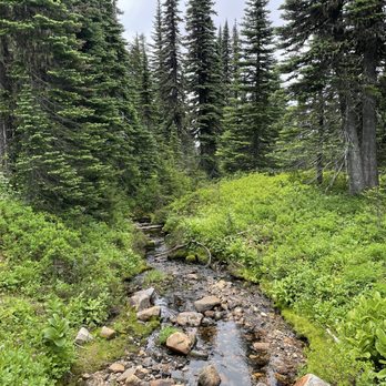 Mt Rainier - Trail - Climbing Near Me