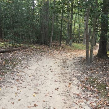 Westmoreland State Park - Parks Near Me - Montross, Virginia Westmoreland State Park - Parks Near Me - Montross, Virginia